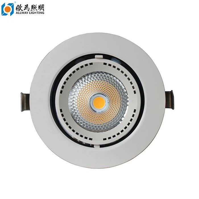 40W Downlights In Soffitto